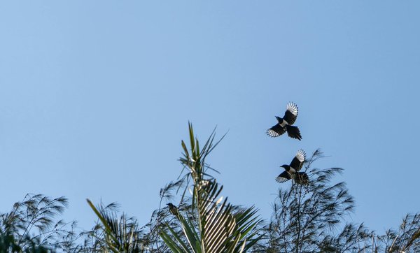 La maladie d'Alzheimer – tout ce que vous devez savoir